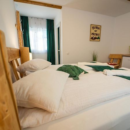Appartement Sura Lu' Patru à Vulcan  Extérieur photo
